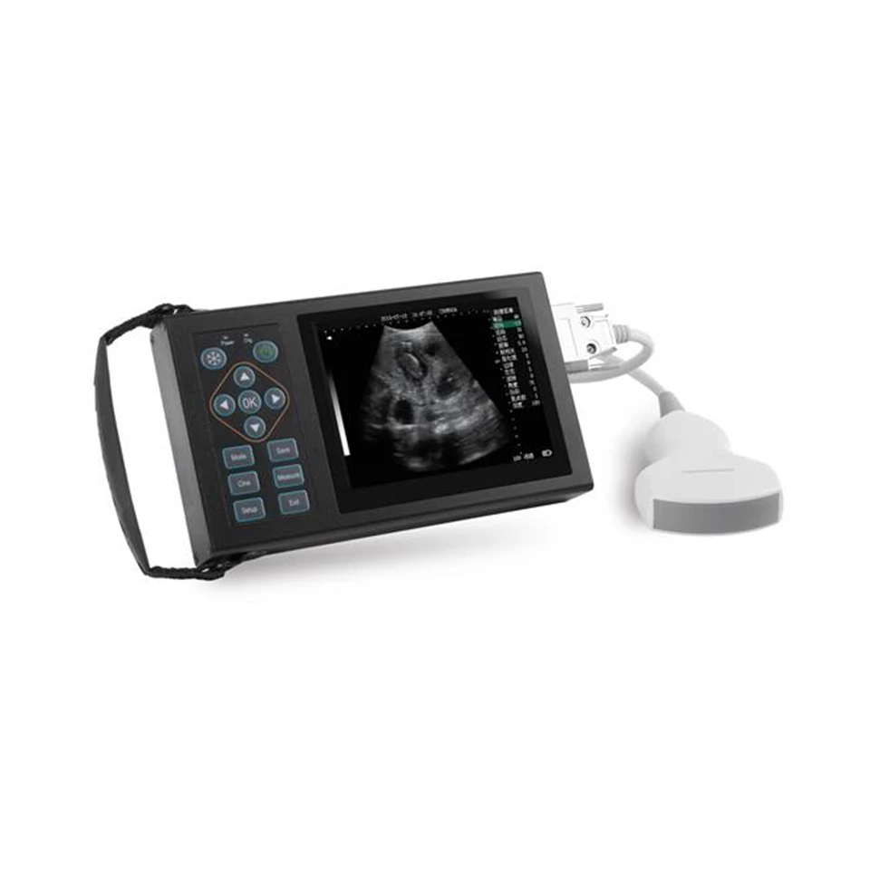 Portable Echo Machine